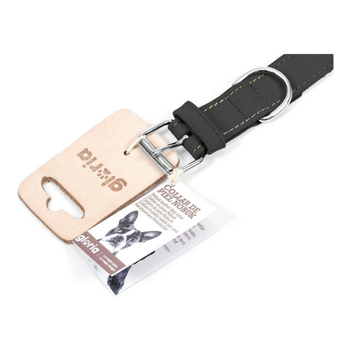 Collar para Perro Gloria Oasis Negro (70 x 3 cm)